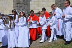 DSC_2813-Copy